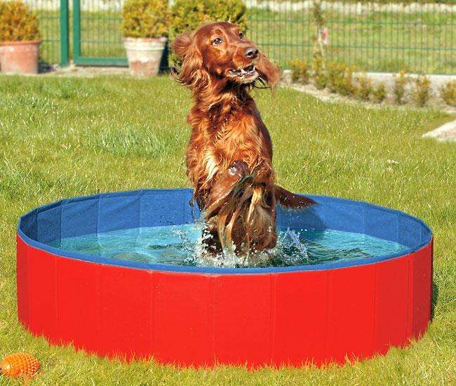 Karlie DOGGY POOL – Der ideale Swimmingpool für Hunde in Rot-Blau