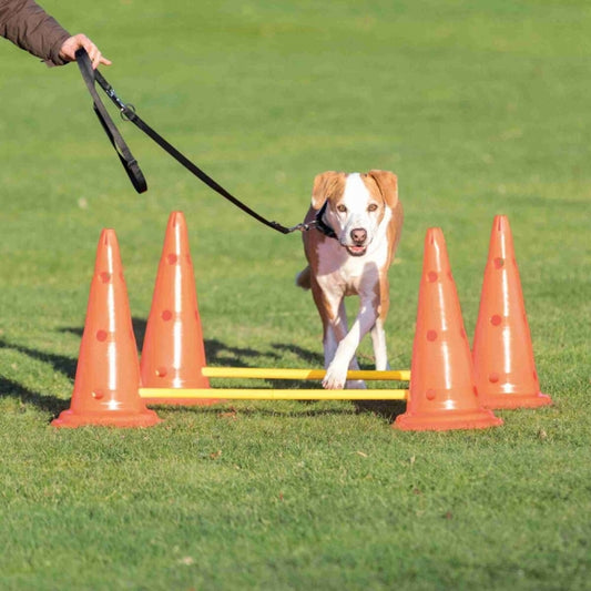 Trixie Pylonen-Hindernis 2er Set – Perfektes Training für Hunde