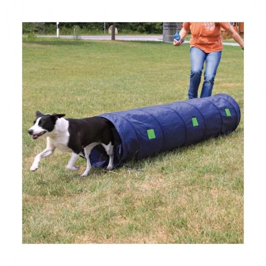 Trixie Agility Tunnel für kleine Hunde und Welpen – Ideal für aktives Training