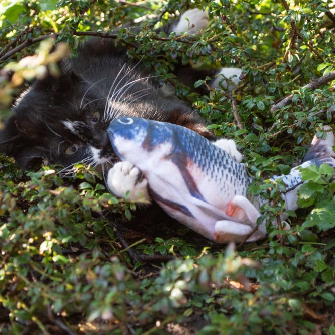 Robocat Karpfen – 30 cm – Das interaktive Katzenspielzeug